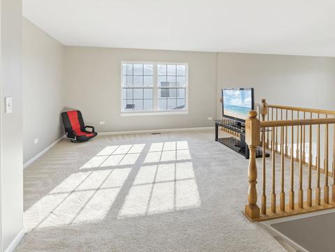 14711 Independence Dr, Plainfield, IL 60544 photo 18