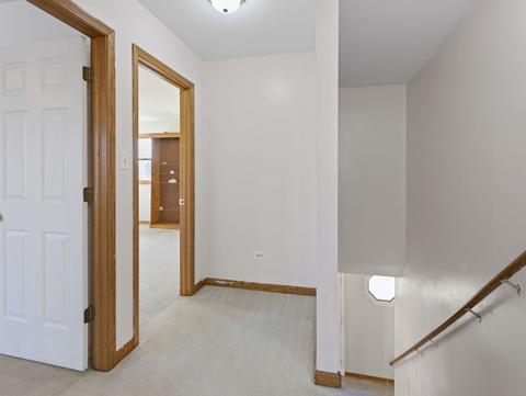 6907 Lemhi Ct, Plainfield, IL 60586 photo 23