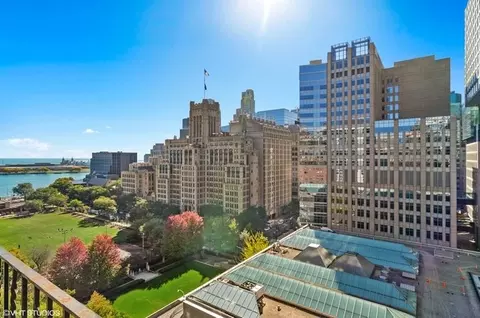 210 E Pearson St #15B, Chicago, IL 60611 photo 14