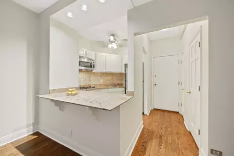 60 E Scott St #204, Chicago, IL 60610 photo 12