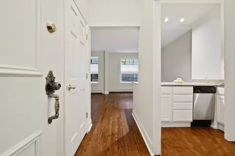 60 E Scott St #204, Chicago, IL 60610 photo 4