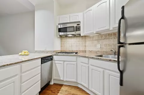 60 E Scott St #204, Chicago, IL 60610 photo 14