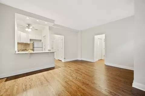 60 E Scott St #204, Chicago, IL 60610 photo 8