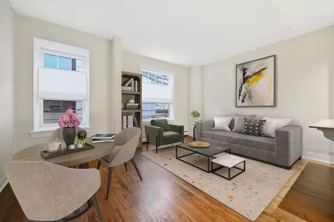 60 E Scott St #204, Chicago, IL 60610 photo 6