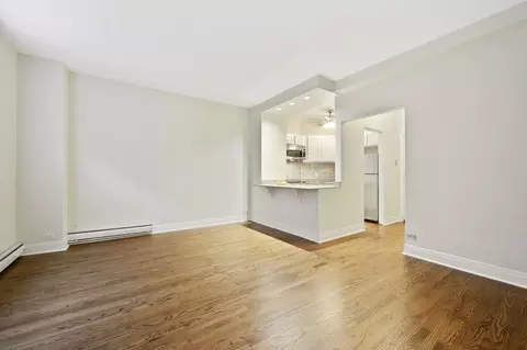 60 E Scott St #204, Chicago, IL 60610 photo 7