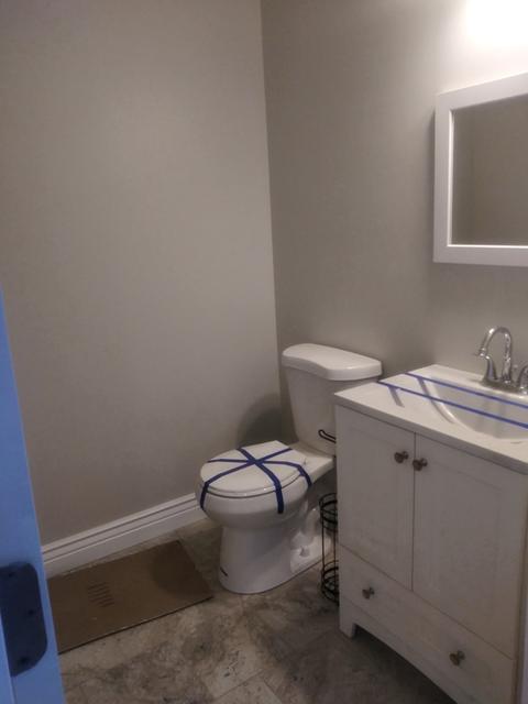 856 N Lorel Ave, Chicago, IL 60651 photo 17