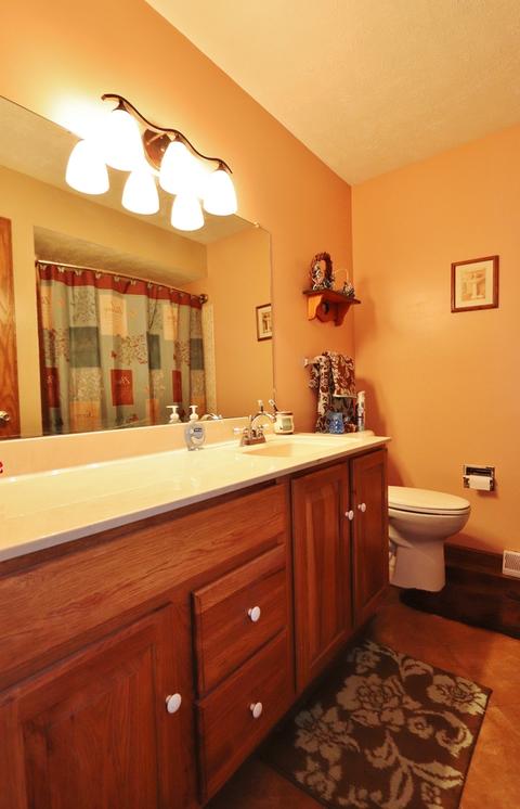703 Thomas Dr, Morris, IL 60450 photo 19