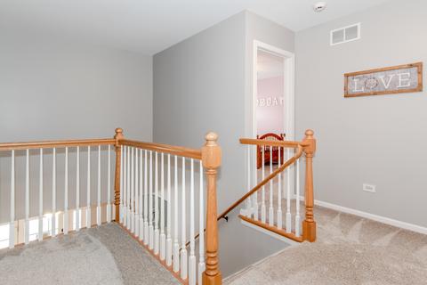25017 Michele Dr, Plainfield, IL 60544 photo 29