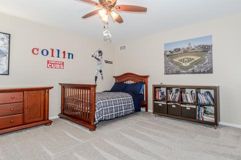 25017 Michele Dr, Plainfield, IL 60544 photo 41