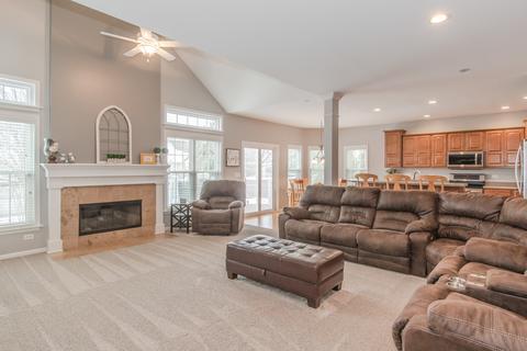25017 Michele Dr, Plainfield, IL 60544 photo 23