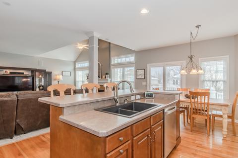 25017 Michele Dr, Plainfield, IL 60544 photo 18