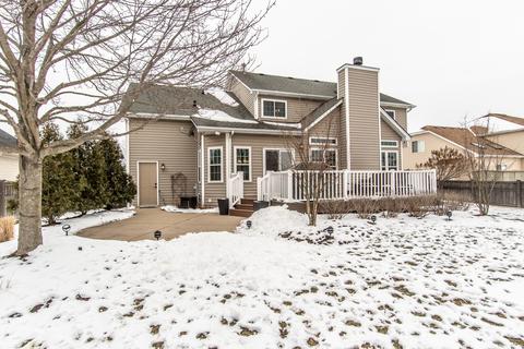 25017 Michele Dr, Plainfield, IL 60544 photo 54