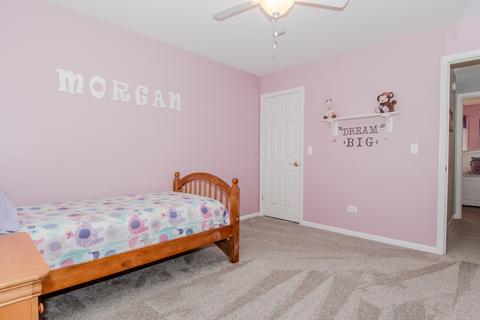 25017 Michele Dr, Plainfield, IL 60544 photo 37