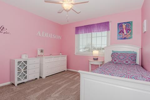 25017 Michele Dr, Plainfield, IL 60544 photo 38