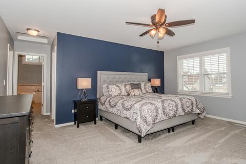 25017 Michele Dr, Plainfield, IL 60544 photo 31