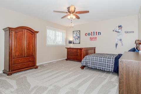 25017 Michele Dr, Plainfield, IL 60544 photo 40