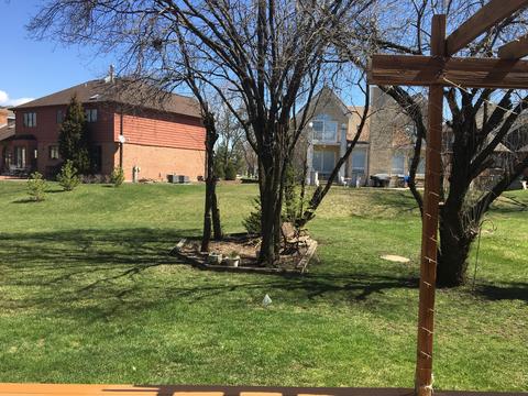 1303 N 9th Ave, Addison, IL 60101 photo 36
