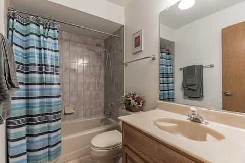 1303 N 9th Ave, Addison, IL 60101 photo 23