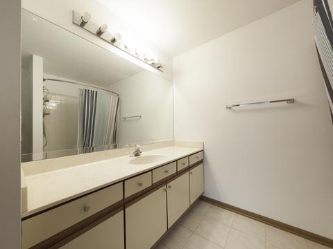 4902 Turnberry Dr, Hoffman Estates, IL 60010 photo 20