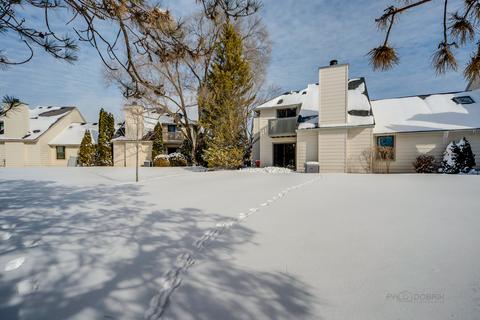 672 Beth Ct, Gurnee, IL 60031 photo 24