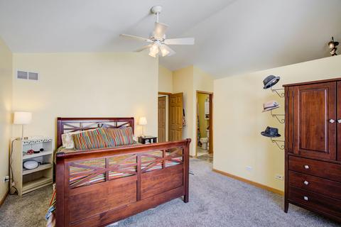847 Symphony Dr, Aurora, IL 60504 photo 23
