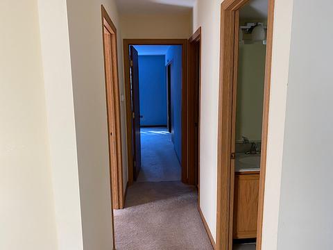2403 Fox Dr, Aurora, IL 60506 photo 10