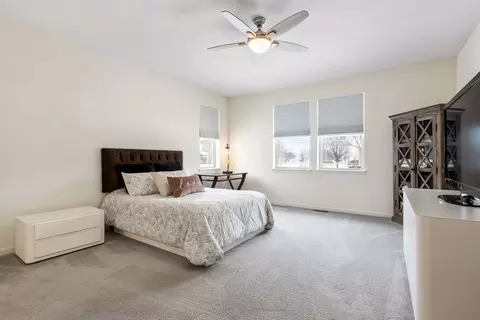 12122 Red Clover Ln, Plainfield, IL 60585 photo 13