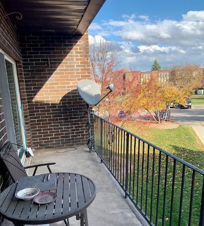 1525 Sander Ct #206, Wheeling, IL 60090 photo 16