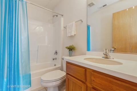 176 Durango Dr, Gilberts, IL 60136 photo 10