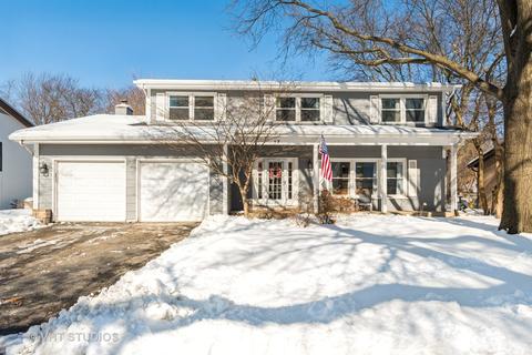 17 Redstart Rd, Naperville, IL 60565 photo 1