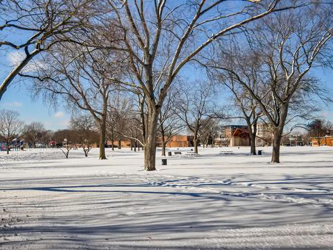 610 E Shabonee Trl, Mount Prospect, IL 60056 photo 26