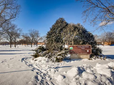 610 E Shabonee Trl, Mount Prospect, IL 60056 photo 24
