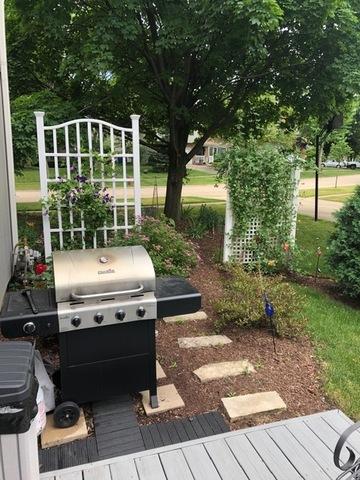 161 Amherst Dr, Bartlett, IL 60103 photo 35