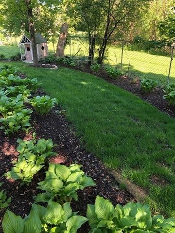 161 Amherst Dr, Bartlett, IL 60103 photo 37