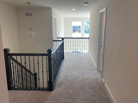 16013 S Crescent Ln, Plainfield, IL 60586 photo 23