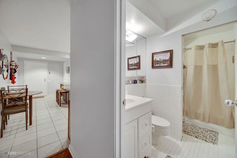 40 E 9th St #1006, Chicago, IL 60605 photo 15