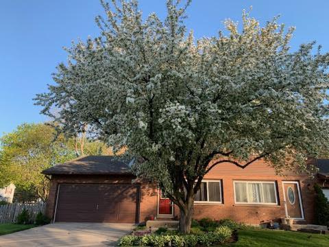966 Marbilynn Dr, Elgin, IL 60120 photo 1