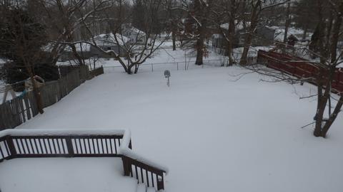 812 Peter St, Mchenry, IL 60051 photo 3