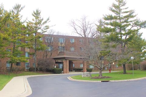 1500 Robin Cir #305, Hoffman Estates, IL 60169 photo 1