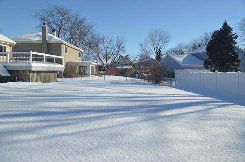 805 Beechtree Ln, Bartlett, IL 60103 photo 24