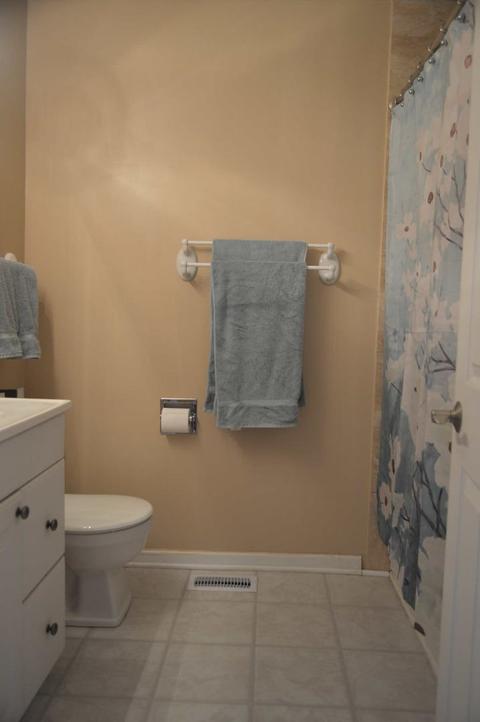805 Beechtree Ln, Bartlett, IL 60103 photo 21