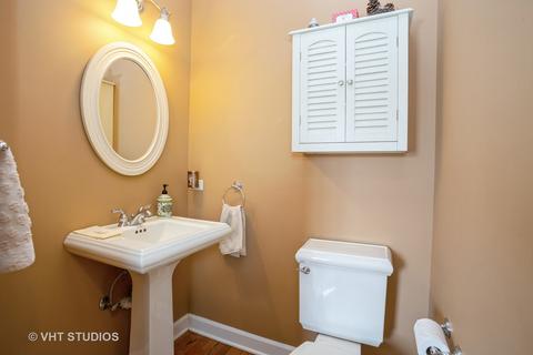 17 E Maple Ave, Roselle, IL 60172 photo 18