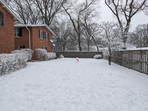 1908 Colfax St, Evanston, IL 60201 photo 18