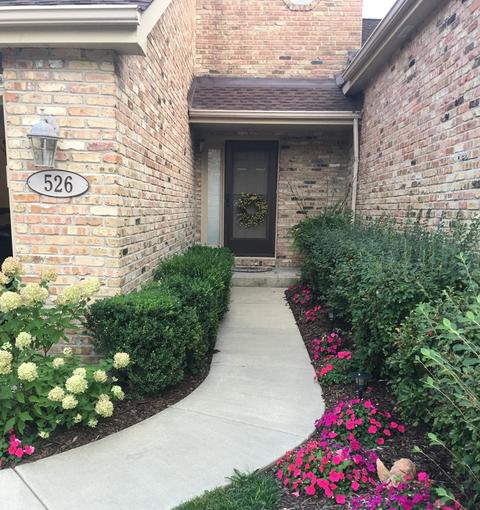 526 W Evergreen St, Wheaton, IL 60187 photo 3