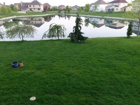 13518 Rockefeller Cir, Plainfield, IL 60544 photo 32