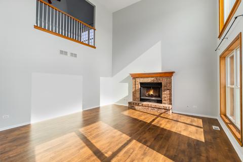 13518 Rockefeller Cir, Plainfield, IL 60544 photo 4