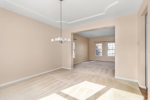 13518 Rockefeller Cir, Plainfield, IL 60544 photo 11