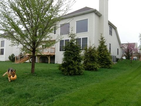 13518 Rockefeller Cir, Plainfield, IL 60544 photo 29