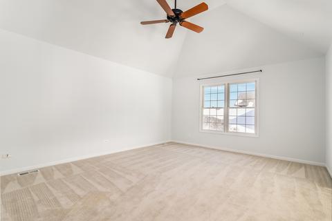 13518 Rockefeller Cir, Plainfield, IL 60544 photo 20