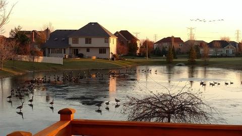 13518 Rockefeller Cir, Plainfield, IL 60544 photo 34